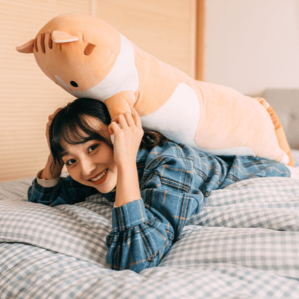longue peluche chat mignon.png