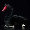 peluche canard noir.jpg