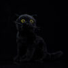 peluche chat noir realiste.jpg