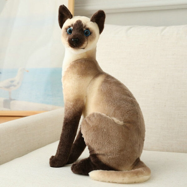 peluche chat siamois.jpg