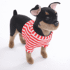 peluche chien aux yeux noirs.png