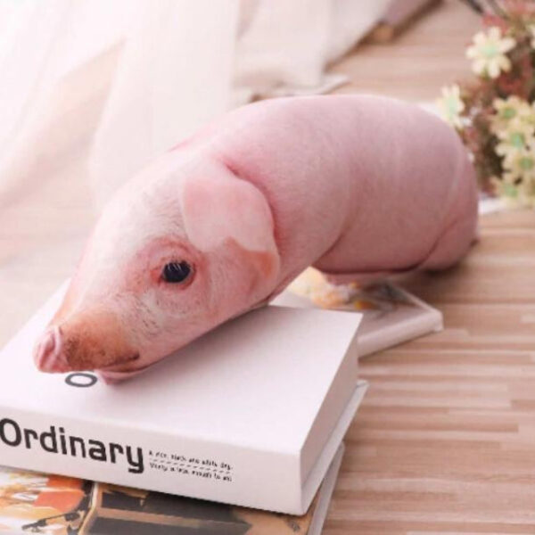 peluche cochon oreiller.jpg