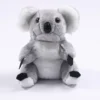 Koala peluche – Modèle
