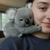 Nouvelle peluche Koala toute douce