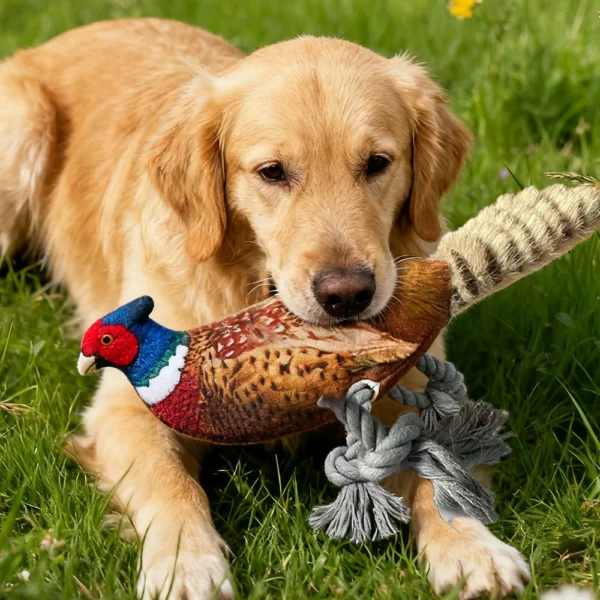 Jouet en peluche pour chats et chiens