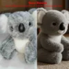 Nouvelle peluche Koala toute douce