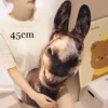 Peluches réalistes (poule, canard, dinosaure, chien, chat, âne)