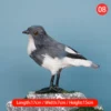 Ornement réaliste en forme de pigeon