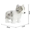 Peluche de chien de berger australien